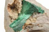 Silky, Fibrous Malachite Crystals on Matrix - Morocco #215030-1